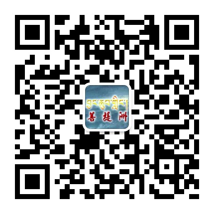 菩提洲网站微信二维码